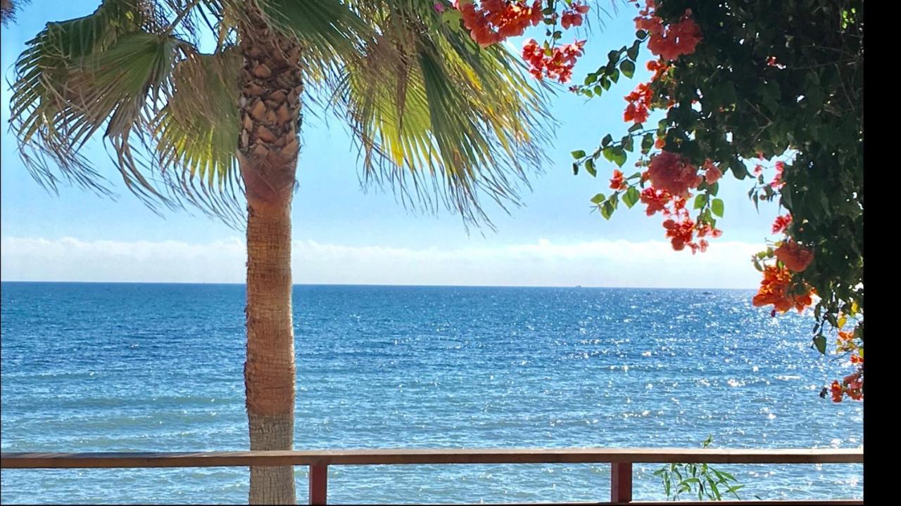 Mi Capricho 3-5 Beachfront- Apartment With Sea Views In Costa Del Sol Sitio de Calahonda Extérieur photo